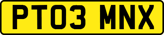 PT03MNX