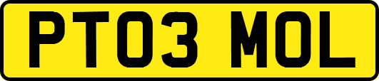 PT03MOL