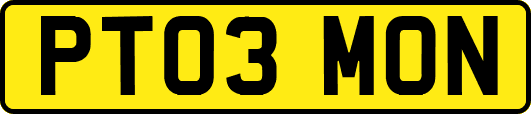 PT03MON