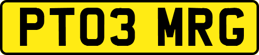 PT03MRG