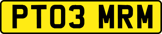 PT03MRM
