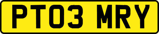 PT03MRY