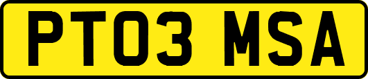 PT03MSA