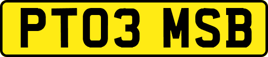 PT03MSB