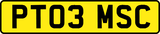 PT03MSC