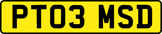 PT03MSD