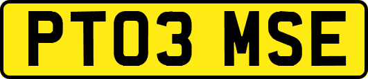 PT03MSE