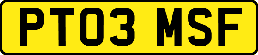 PT03MSF
