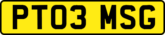 PT03MSG