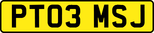 PT03MSJ