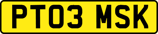 PT03MSK