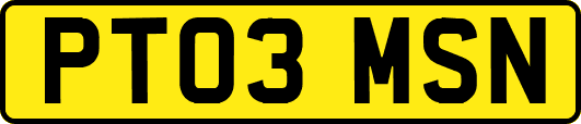 PT03MSN