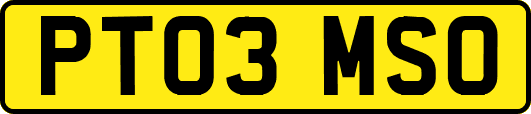 PT03MSO