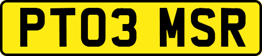PT03MSR