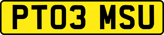 PT03MSU