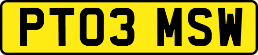 PT03MSW