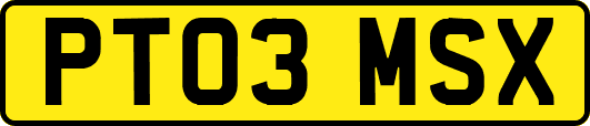 PT03MSX
