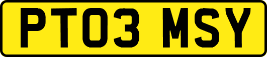 PT03MSY