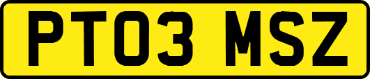PT03MSZ