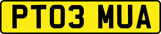 PT03MUA