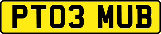PT03MUB