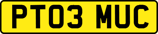 PT03MUC