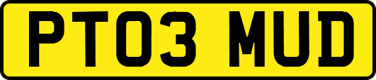 PT03MUD