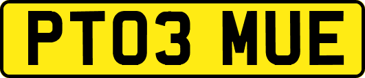 PT03MUE