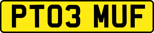 PT03MUF