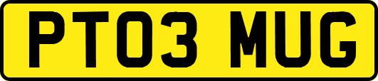 PT03MUG