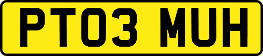 PT03MUH