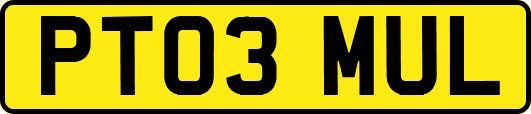 PT03MUL