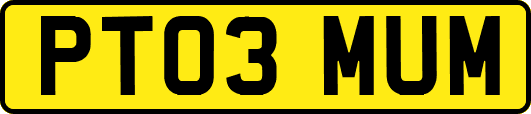 PT03MUM