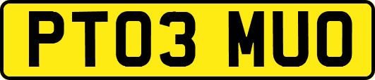 PT03MUO