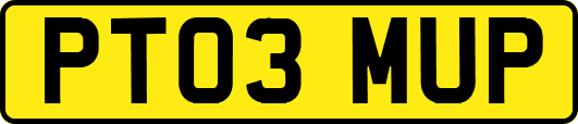 PT03MUP