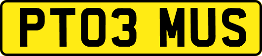 PT03MUS
