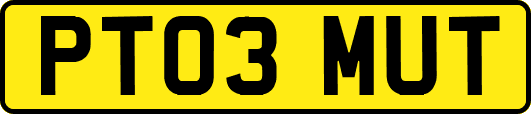 PT03MUT