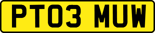 PT03MUW