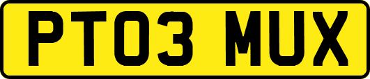 PT03MUX