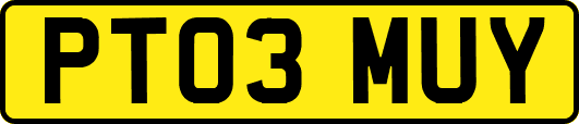 PT03MUY