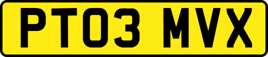 PT03MVX