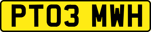 PT03MWH