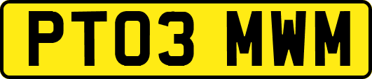 PT03MWM