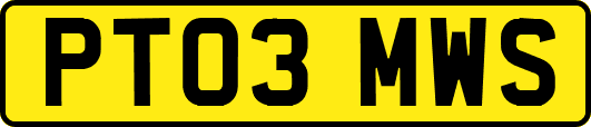 PT03MWS