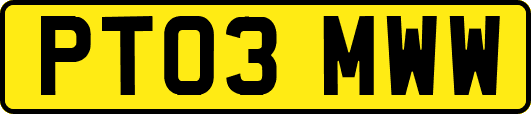 PT03MWW