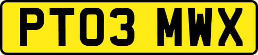 PT03MWX