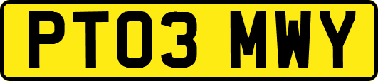 PT03MWY