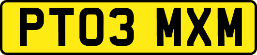 PT03MXM