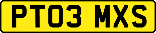 PT03MXS