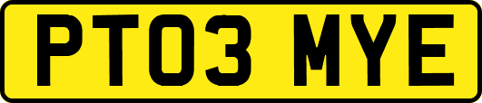 PT03MYE